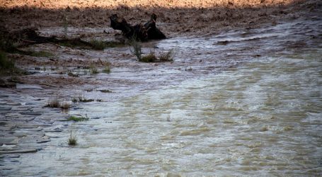 Alarma por situación hídrica del río Mataquito