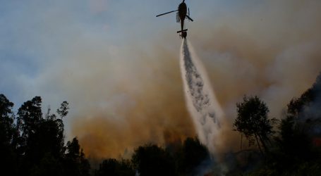 Declaran Alerta Roja para la comuna de Litueche por incendio forestal