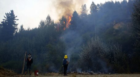 Onemi solicita evacuación de sectores en Galvarino por incendio forestal
