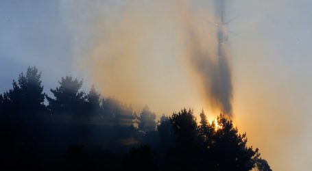 Reportan incendio cercano a viviendas en Talcahuano