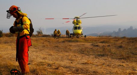 ONEMI: 8 incendios forestales se encuentran activos a nivel nacional