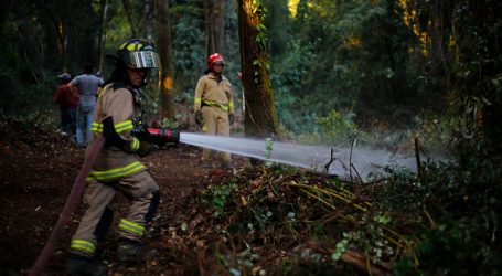 ONEMI reporta 11 incendios forestales activos a nivel nacional