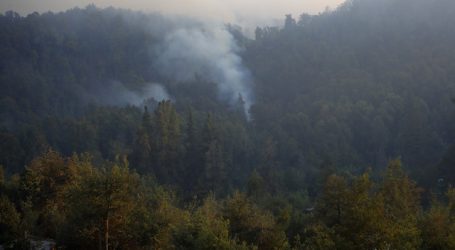 Mantienen Alerta Roja para las comunas de Curicó y Molina por incendio forestal