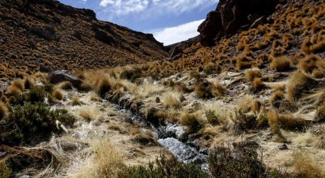 Bolivia afirmó que entrega a Chile de aguas del Silala será bajo compensación