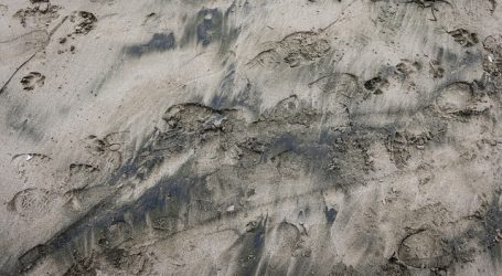 Registran tercer día de varamientos de carbón en playa Ventanas de Puchuncaví