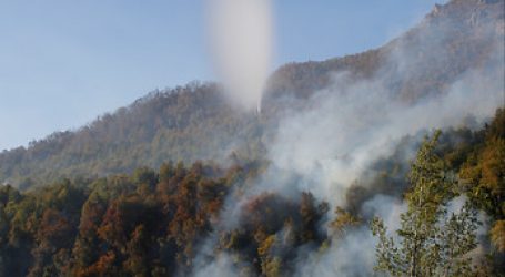 Incendio forestal en Molina continúa activo con 11.500 hectáreas afectadas