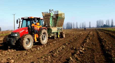 INDAP presentó medidas para pequeños agricultores por COVID-19 y la sequía