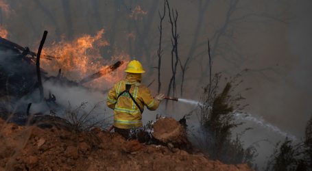 Declaran alerta por incendios forestales para la Región de Valparaíso