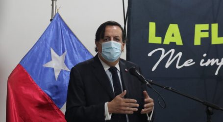 Ministro Pérez y ataques en Araucanía: “A esos grupos tenemos que enfrentarlos”
