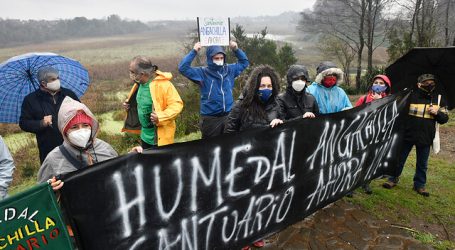 Piden declarar como Santuario de la Naturaleza al Humedal Angachilla de Valdivia