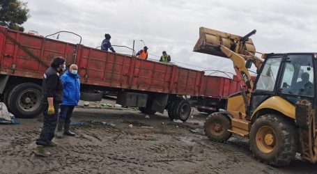 Comuna de Ancud logra enviar 30 toneladas de vidrios a reciclaje   