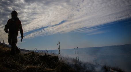 Declaran Alerta Roja para la comuna de Angol por incendio forestal