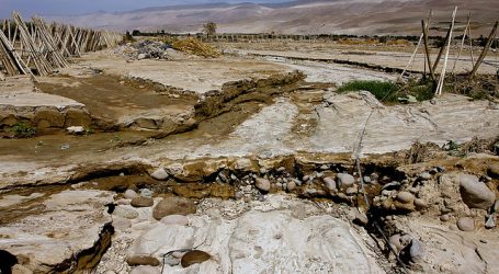 Arroceros de Parral monitorearán sus cultivos con una aplicación digital online