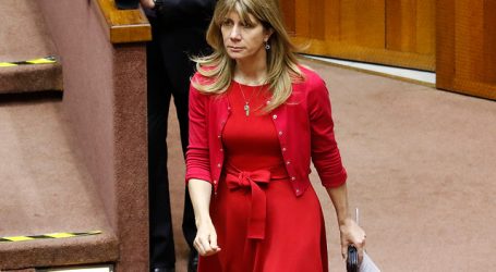 Rincón criticó a senadores de derecha por rechazo a reforma sobre el agua