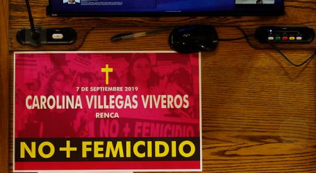 Sernameg registró 45 femicidos en 2019