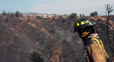 Cancelan Alerta Roja para la comuna de Coltauco tras controlar incendio forestal