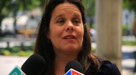 Diputada Fernández presentó comisión Investigadora por violaciones a los DDHH