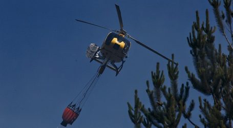 Declaran Alerta Roja para la comuna de Pinto por incendio forestal
