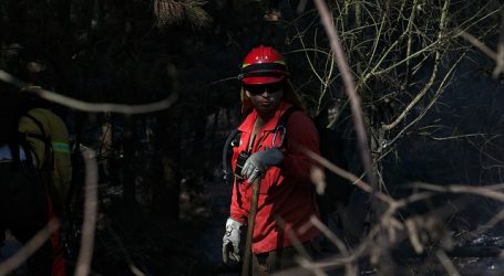 Alerta Roja para Santa Juana, Cabrero y Nacimiento por incendios forestales