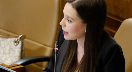 Formalizarán a joven que realizó rayados contra Camila Flores