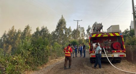 Onemi: 11 incendios forestales activos a nivel nacional