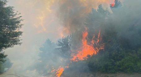 Declaran Alerta Amarilla para la provincia de Arauco por incendios forestales