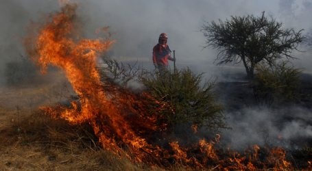 Brigadista de Conaf fue detenido por incendios en casetas de peaje