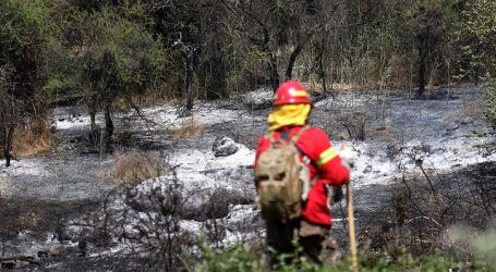 Alerta Roja para las comunas de Ercilla y Los Sauces por incendio forestal