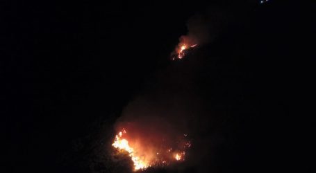 Declaran Alerta Roja para la comuna de Temuco por incendio forestal