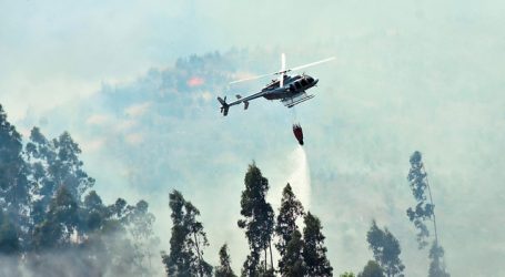 Alerta Amarilla para Paillaco, Río Bueno y La Unión por incendios forestales