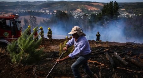 Declaran Alerta Roja para la comuna de Traiguén por incendio forestal