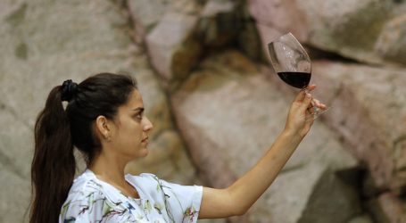SAG informó que las existencias de vino aumentaron un 2,3% en el 2019