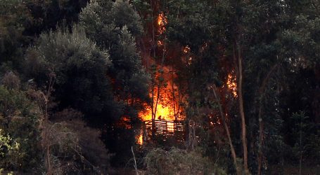 Incendio se registró en ladera poniente del Cerro San Cristóbal