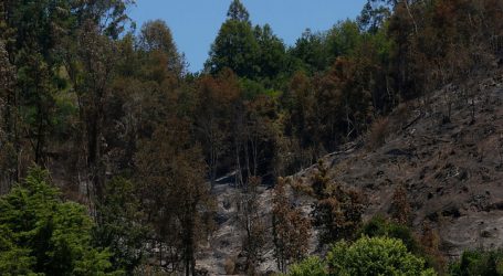 Conaf informa de 14 incendios activos en el país