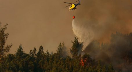 Incendio forestal en Fundo Coihueco de Penco amenaza viviendas