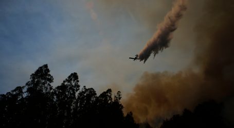 Declaran Alerta Amarilla para la comuna de Hualqui por incendio forestal