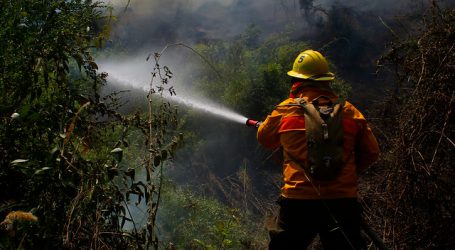 Declaran Alerta Roja para la comuna de Los Sauces por incendio forestal