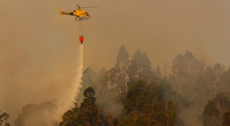 Onemi reporta 13 incendios forestales activos a nivel nacional