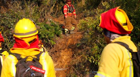 Declaran Alerta Roja para la comuna de San Vicente por incendio forestal