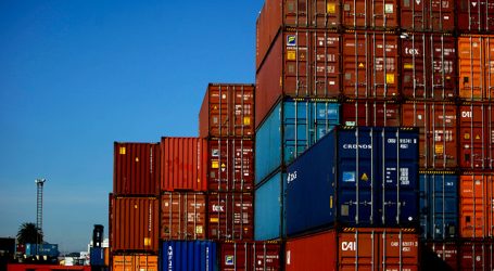 Fedefruta confirma que se lograron comercializar 100 containers en China