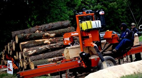 Diputado Celis pide investigar robo de madera en Laguna Verde