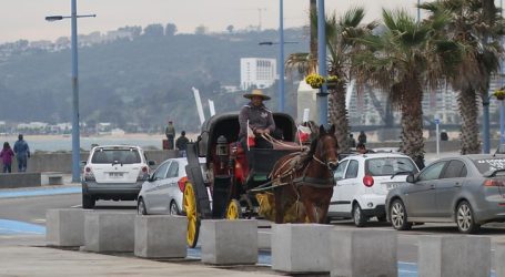Victorias de Viña del Mar dejarán de funcionar con caballos en marzo