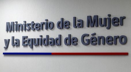 Gobierno condenó caso de violencia intrafamiliar en San Pedro de la Paz