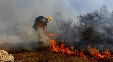 Se mantiene la Alerta Roja para Quilpué por un incendio forestal