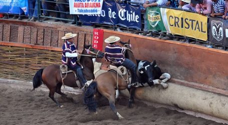 Coronavirus: Federación de Rodeo suspendió el Champion de Chile en Rancagua