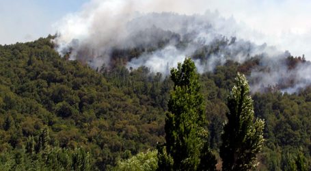 Declaran Alerta Roja para la comuna de Quillón por incendio forestal