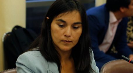 Izkia Siches: “El plebiscito no debería estar exento de la programación”