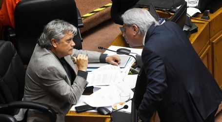 Senador Navarro propone postergar plebiscito y voto obligatorio