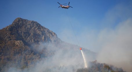 ONEMI reporta 6 incendios forestales activos y 21 controlados a nivel nacional
