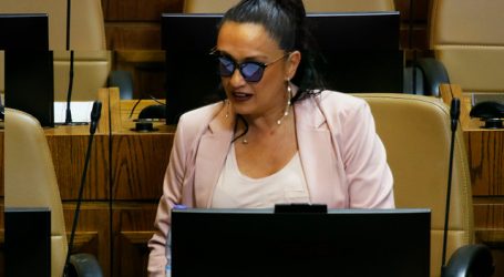 Comisión de Seguridad Ciudadana ofició al Gobierno por acuerdo ANI-SENAME